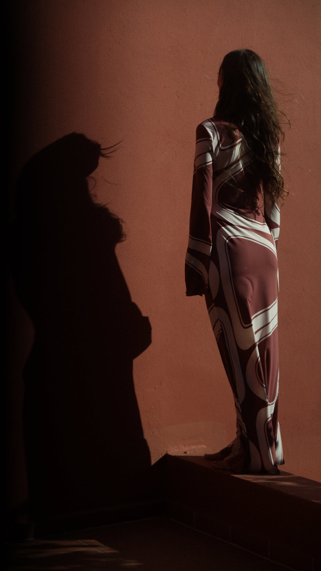JANE DRESS in Brown Élas Print
