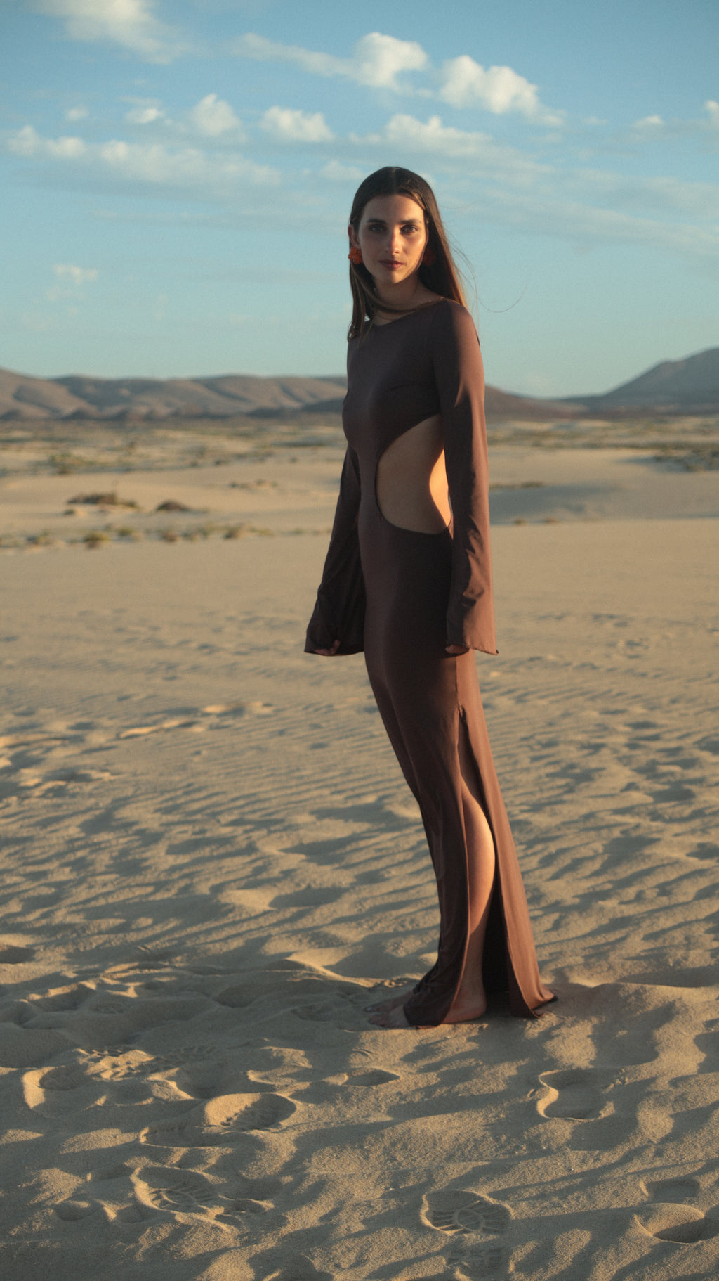 ALI DRESS in Brown