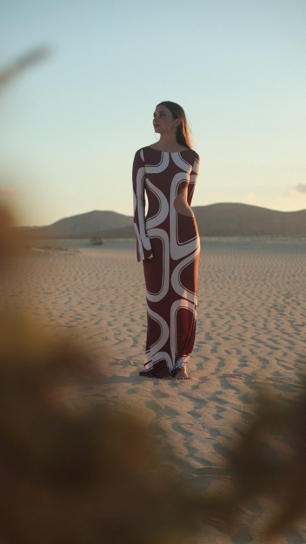 ALI DRESS in Brown Èlas Print