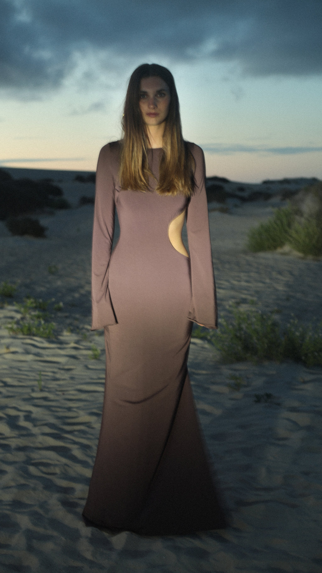 ALI DRESS in Brown